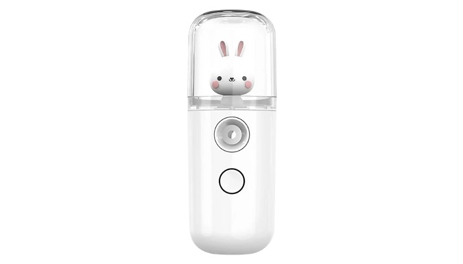 Cute Mini Face Mist Humidifier