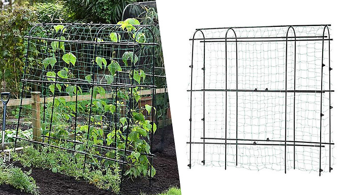 Garden Gear 1.8-Metre Pea Tunnel with Netting