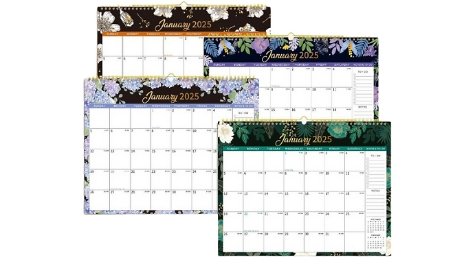 2025 Wall Calendar - 6 Designs