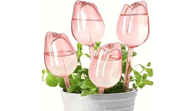 4-Pack of Decorative Automatic Plant Watering Devices - 3 Options