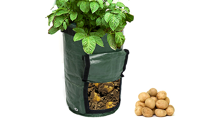 Heavy-Duty PE Grow Bag With Viewing Window - 2 Sizes