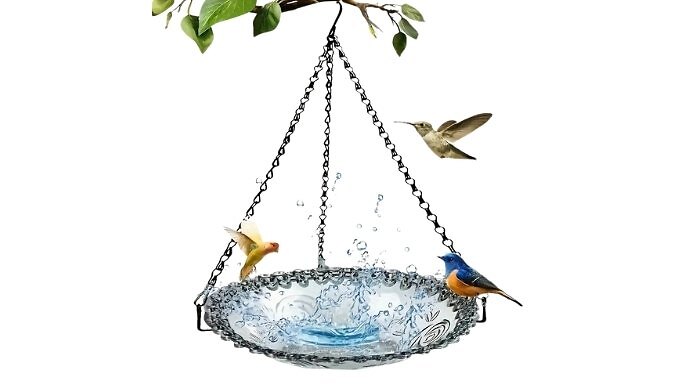 1 or 2-Layer Hanging Bird Feeder