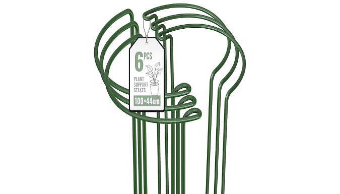 6-Pack of Plant Support Metal Stakes - 4 Sizes