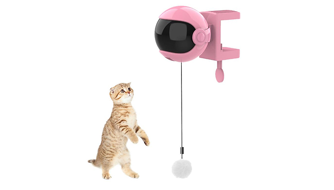 Electric Spring-Ball Cat Toy - 2 Colours!