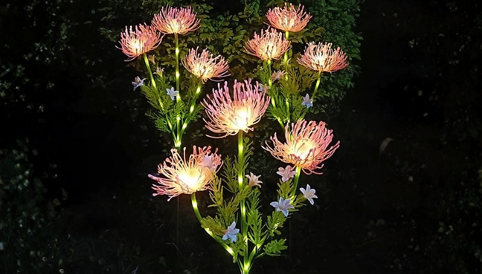 1 or 2-Pack Solar-Powered Flower Garden Light - 3 Colours