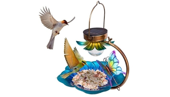 Hanging Bird Feeder with Solar-Powered Lamp!