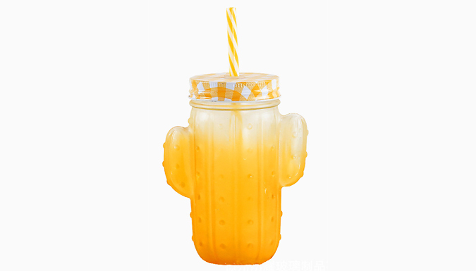 Cactus Mason Jar Drinking Cup with Straw - 4 Colours