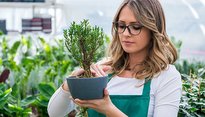 Online Horticulture Diploma