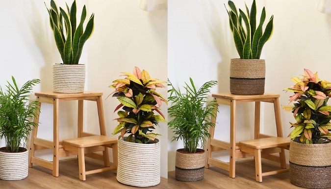 3-Pack of Seagrass Planter Baskets - 5 Colours