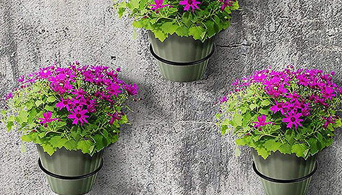 Wall-Mounted Metal Plant Pot Holder - 3 Sizes