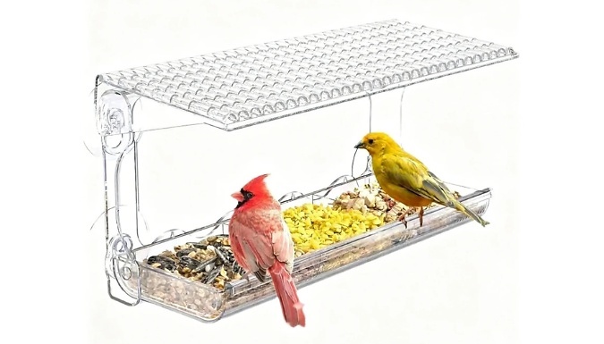 Transparent Window-Style Bird Feeder