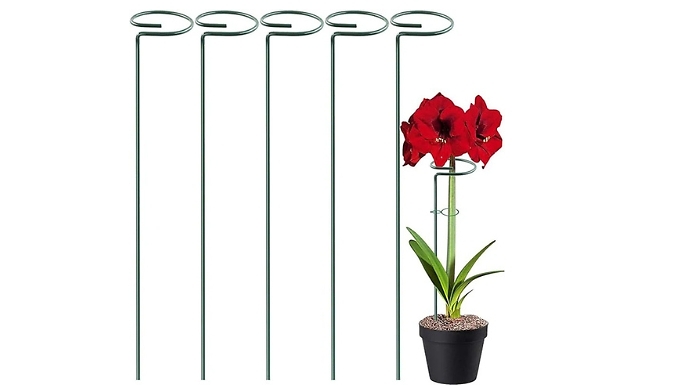 5-Pack Plant Support Stands - 3 Sizes