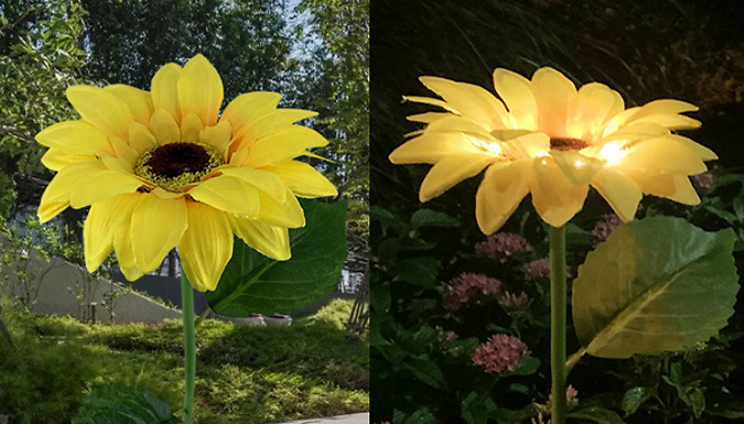 1, 2, or 4 Outdoor Solar Sunflower Lights