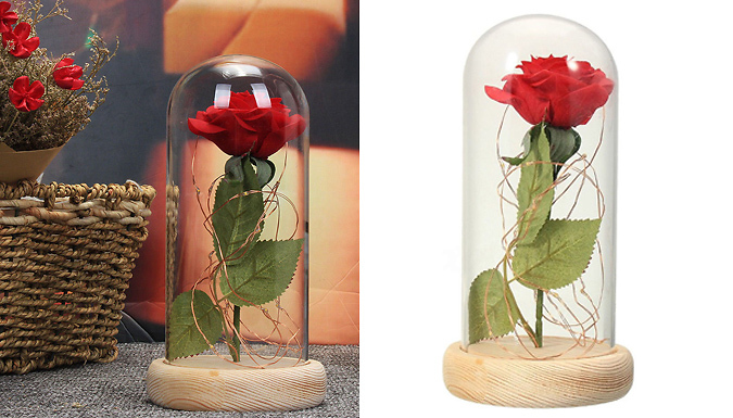 Enchanted Rose Glass Lamp