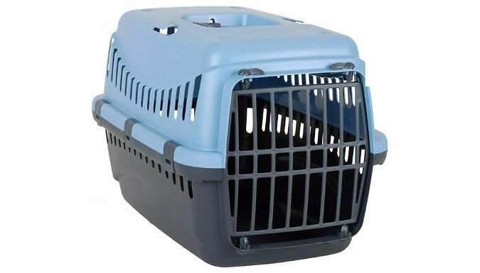 Cat sale carrier box