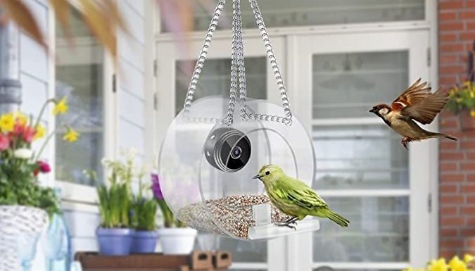 Bird Feeder with Optional Camera - 3 Styles