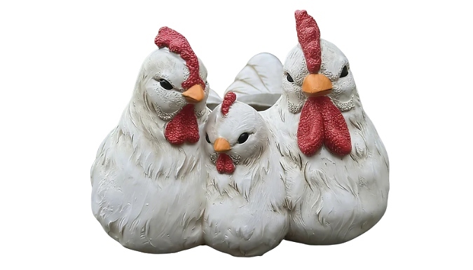 Chicken Family Plant Pot