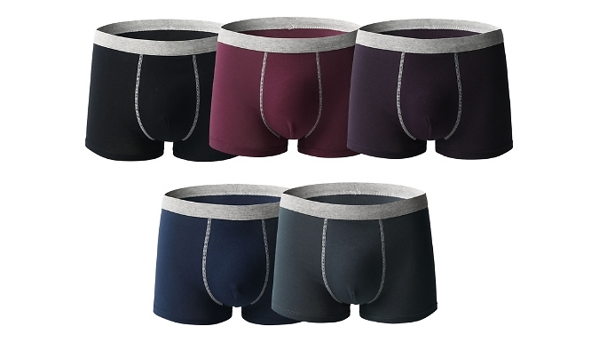 2 or 4-Pack Mens Cotton Boxer Shorts - 2 Styles, 6 Colours, 5 Sizes