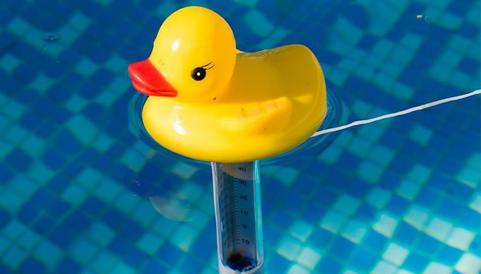 Floating Thermometer – Duck or Whale Deal Price £7.99