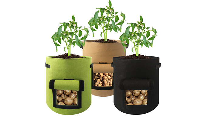 Vegetable Planting Bag with Side Window - 3 Colours