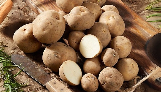 Patio Potato Growing Selection