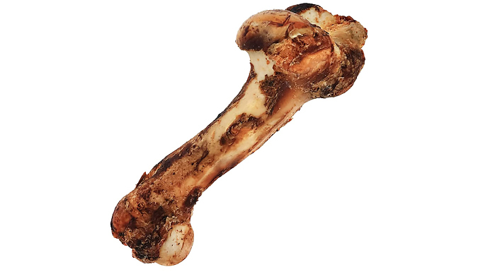 Jumbo Premium Grade XL Dog Bone