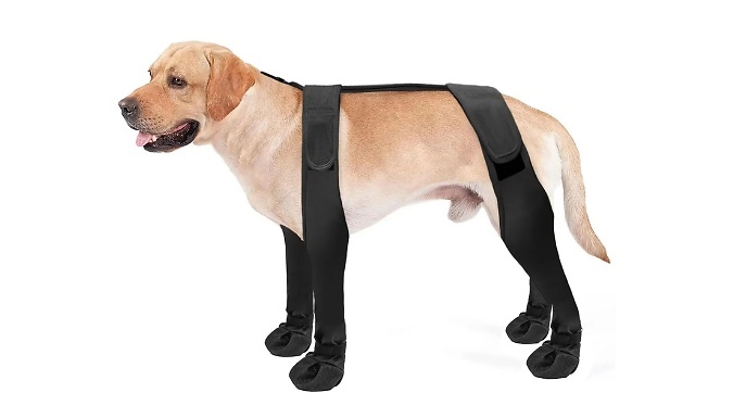 Dog Waterproof Boots Harness - 3 Sizes