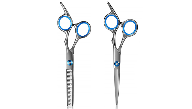 2-Piece Stainless Steel Scissor Set - Cutting & Thinning Scissors