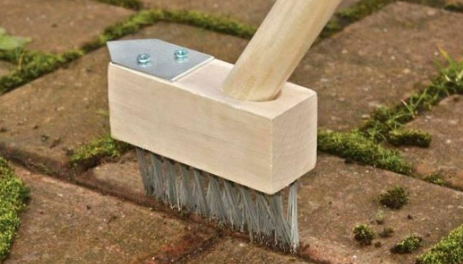 Patio Weed Brush