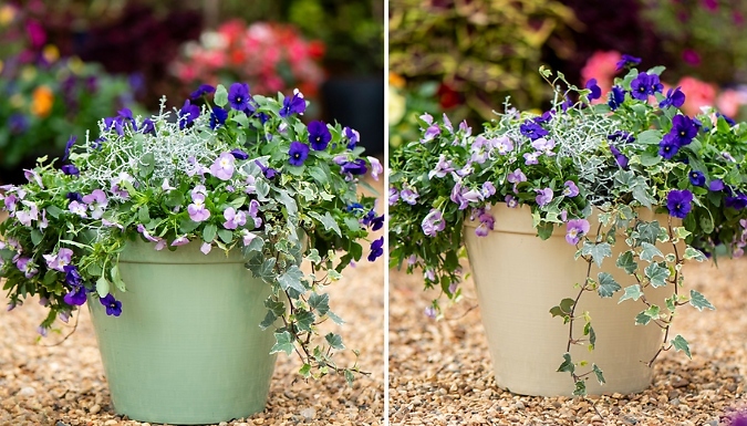 1 or 2-Pack of Garden Gear Lindos Glazed-Effect Planters - 2 Colours
