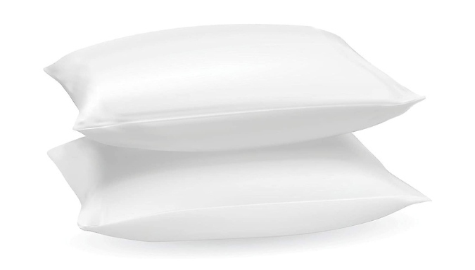 2-Pack Duck Feather & Down Pillows