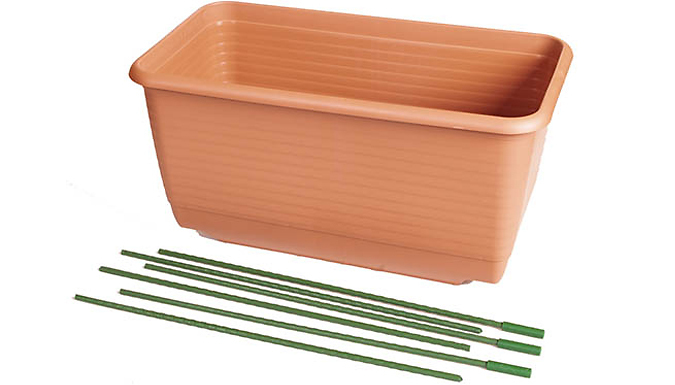 Vegetable Trough with Cane Supports