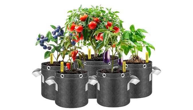 Thickened Non-Woven Fabric Planting Bags - 5 Sizes!