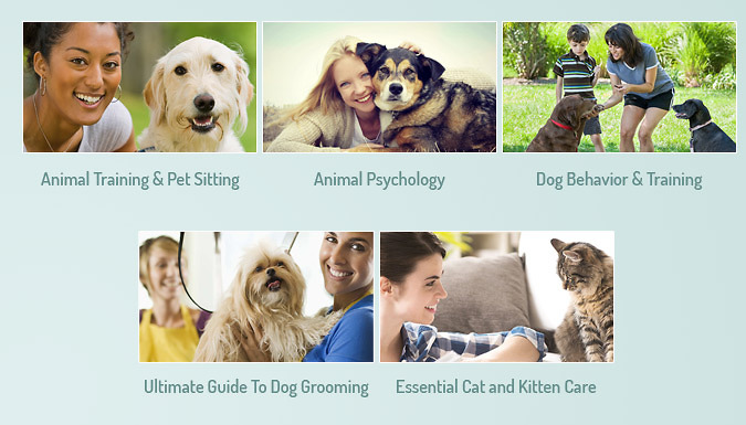 Pet Learning Course Bundle