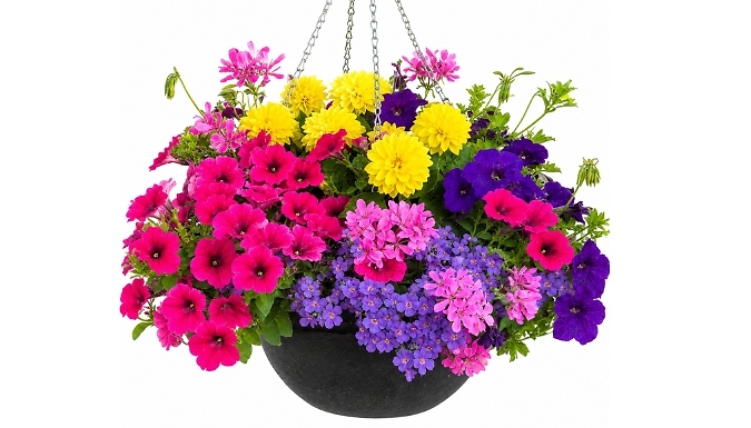 Pre-Planted Tutti Frutti Hanging Basket - 14-Inch