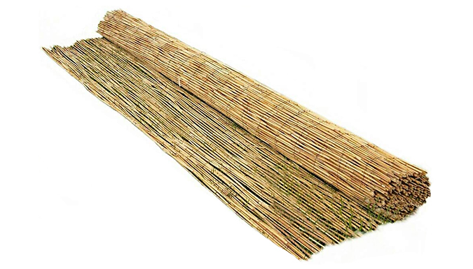 Natural Split Reed Garden Screen - 5 Sizes