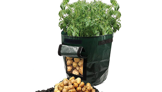 Heavy Duty PE Plant Bag - 2 Sizes