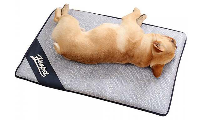 Breathable Pet Mat Bed - 4 Sizes