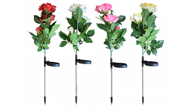 1, 2, 3 or 4 Solar Powered Rose Flower Lamps - 4 Colours