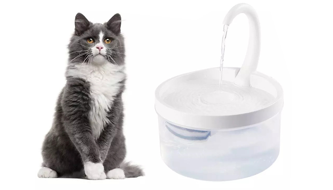 2L USB Pet Water Fountain with Filtration System
