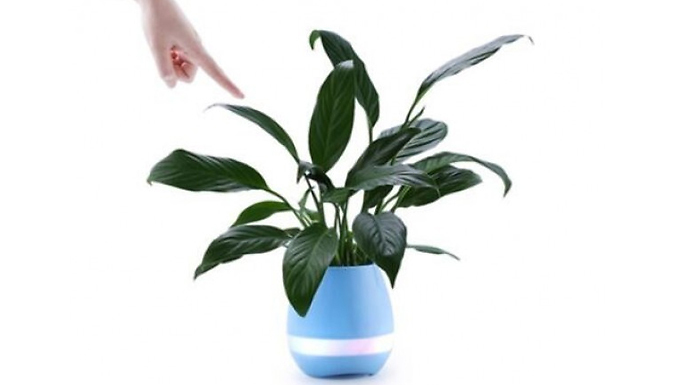 3-in-1 Smart Flowerpot Nightlight and Bluetooth Speaker - 2 Colours