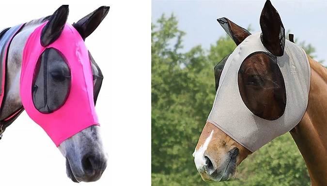 Horse Fly-Mask With Mesh Ear Guards - 5 Colours