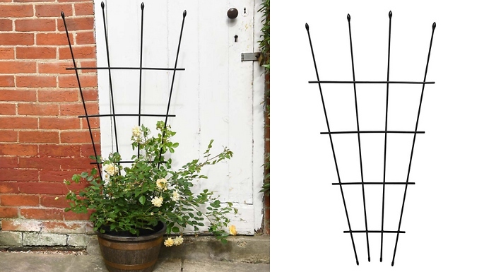 Garden Gear 1.2-Metre Fan Trellis - 1, 2 or 4-Pack