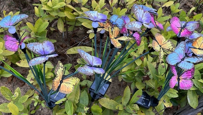 Solar-Powered Decorative Butterfly Stake Light - Standard, Deluxe or Premium!