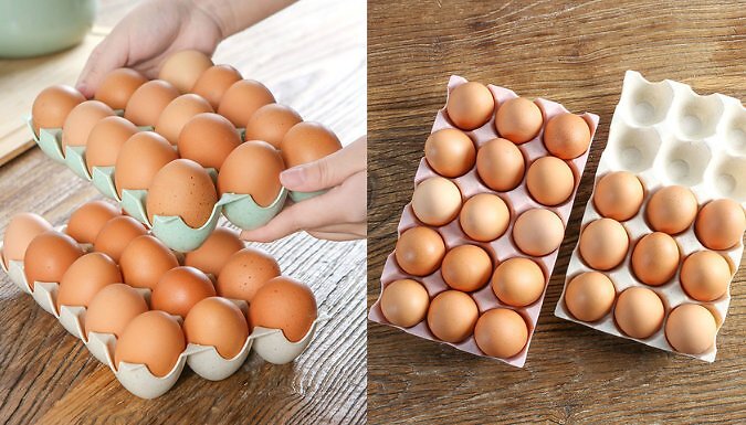 Egg Storage Box - 4 Colours