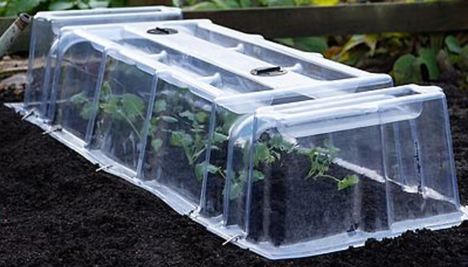 1 or 2 Mini Garden Greenhouse Cloche