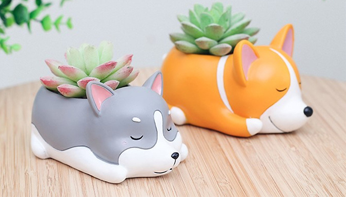 Funny Dog Plant Pots - 4 Designs