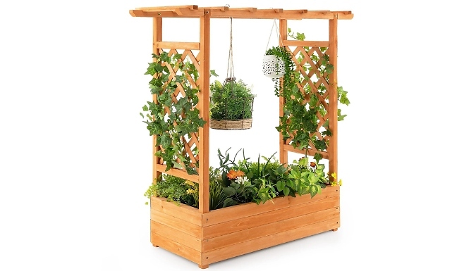 Raised Garden Bed with Arch Trellis