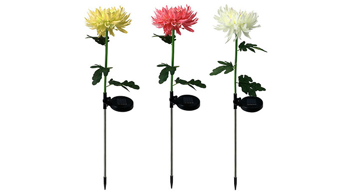 1 or 3-Pack of Solar Flower Stake Lights - 3 Colours