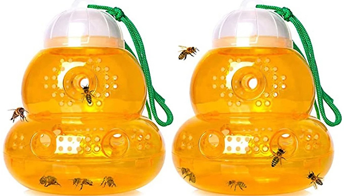 1 or 2 Beehive Hanging Natural Wasp Traps